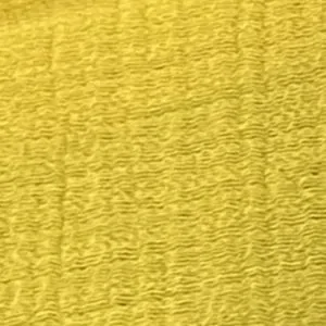 Blooming Yellow Blooming Yellow