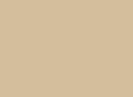 Desert Beige Desert Beige