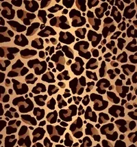 Leopard Flair