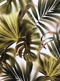 Palm Dream Palm Dream