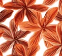 FLORA ORANGE