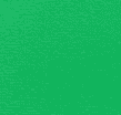 SPICY GREEN SPICY GREEN