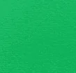SPICY GREEN SPICY GREEN