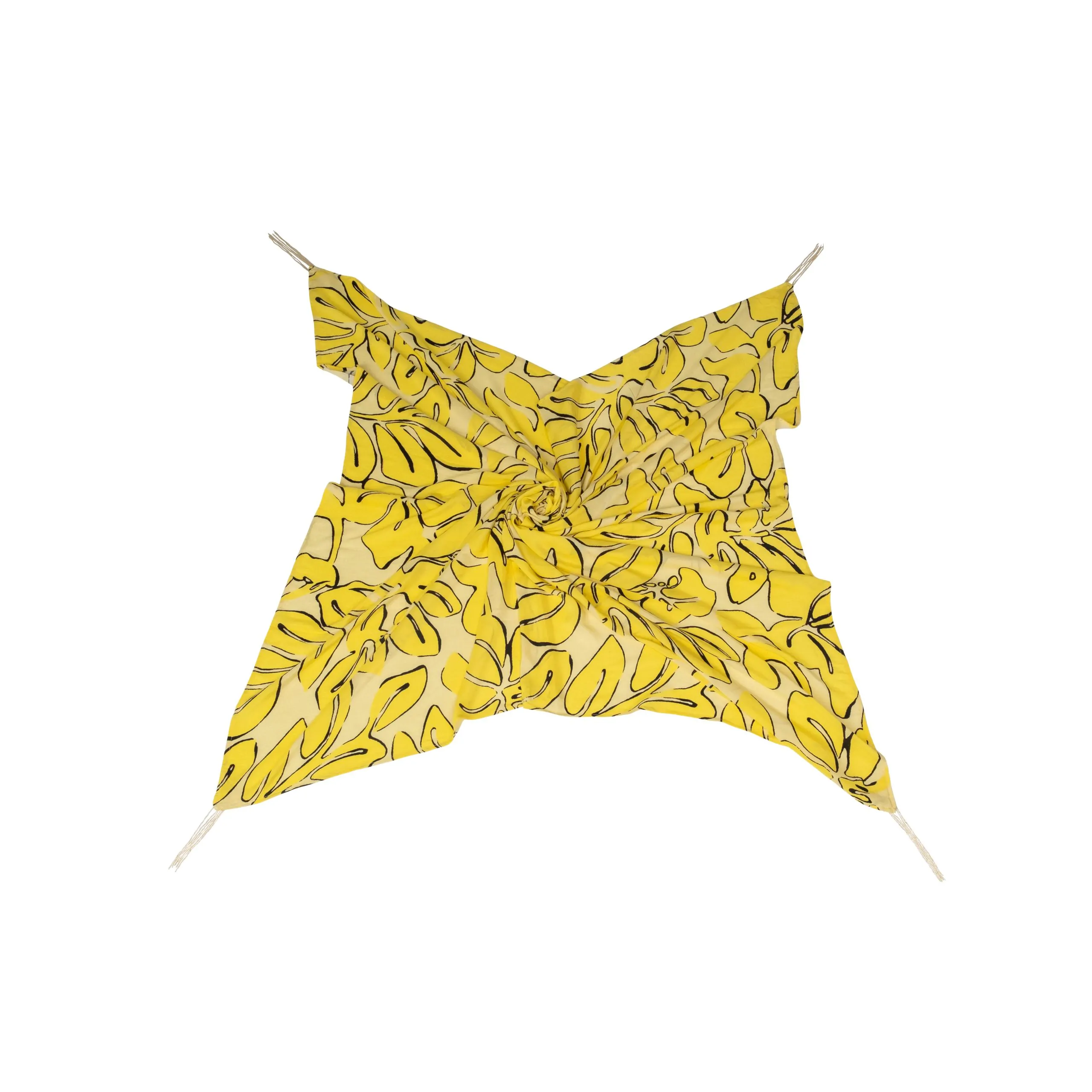 ADEM_PAREO_(4) ADEM_PAREO_(4)