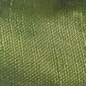 Cactus Green Cactus Green