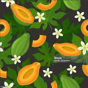 Funky Papaya Funky Papaya